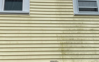 Revitalize Your Milford Home: Professional House Washing Services in New England